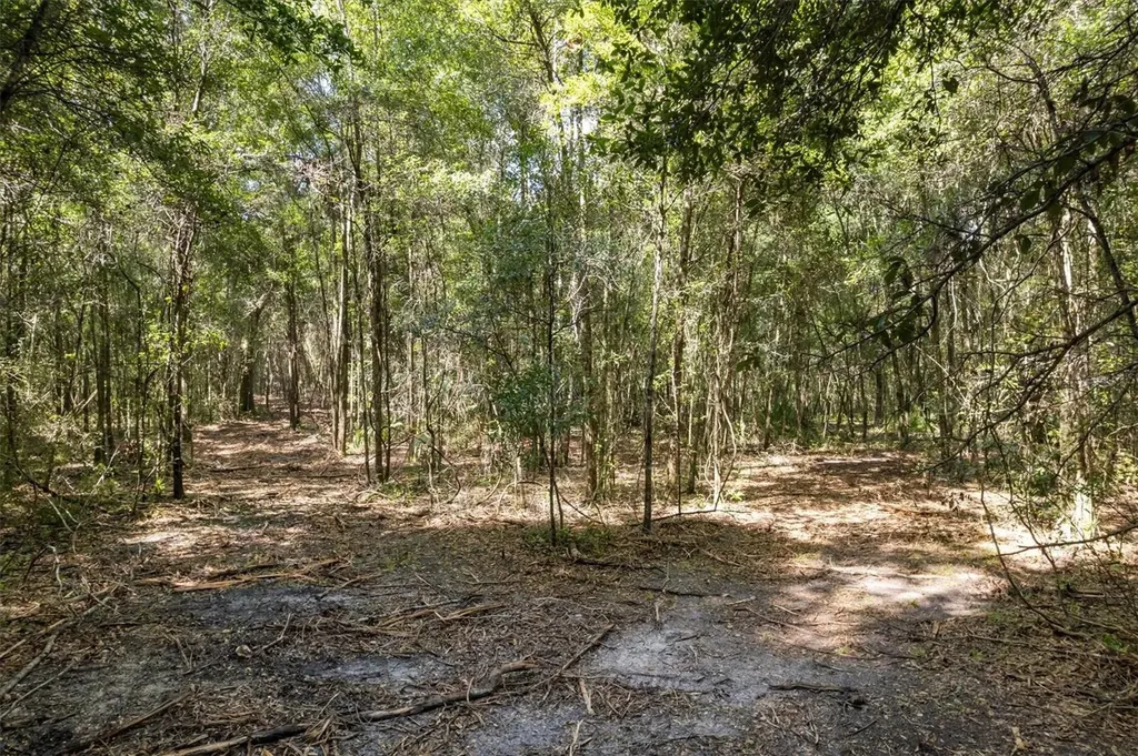000 SW Archer Road Gainesville FL 32608