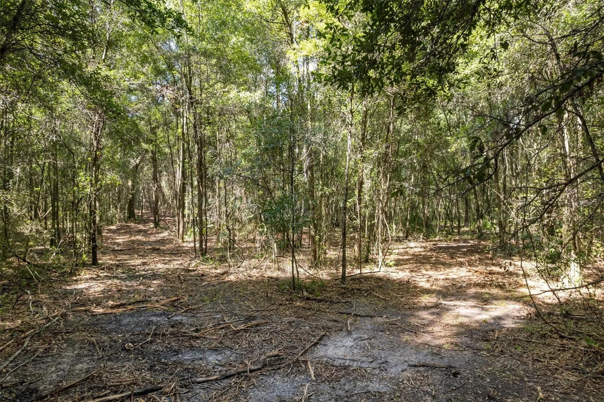 000 SW Archer Road Gainesville FL 32608