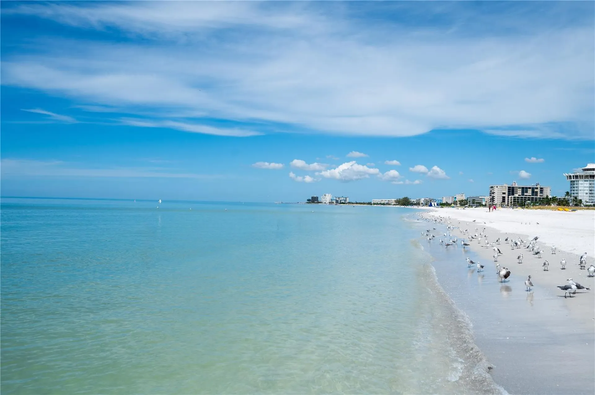 1703 12th Street S St Petersburg FL 33705