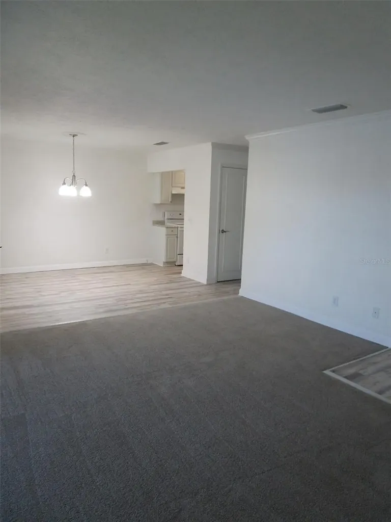 13831 Orange Sunset Drive Tampa FL 33618