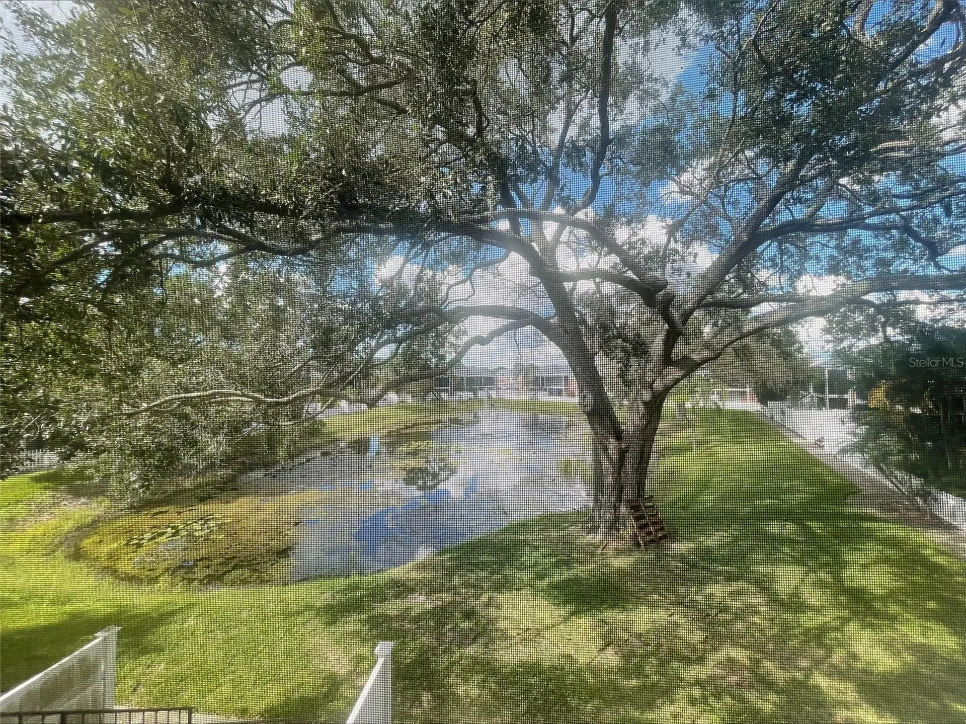 13831 Orange Sunset Drive Tampa FL 33618