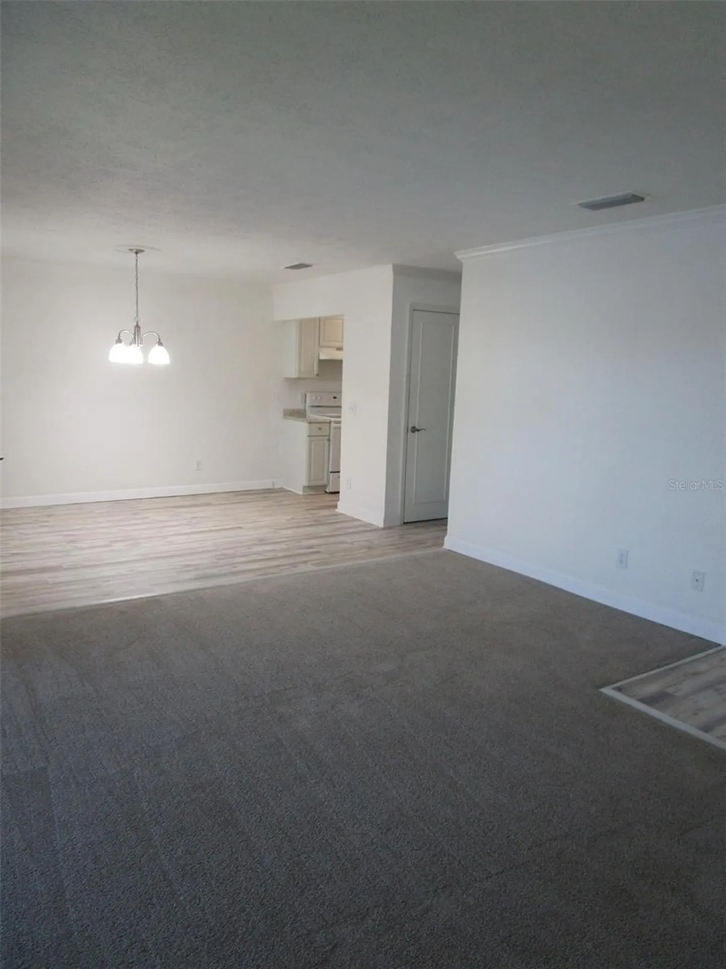 13831 Orange Sunset Drive Tampa FL 33618