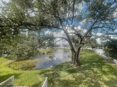 13831 Orange Sunset Drive Tampa FL 33618