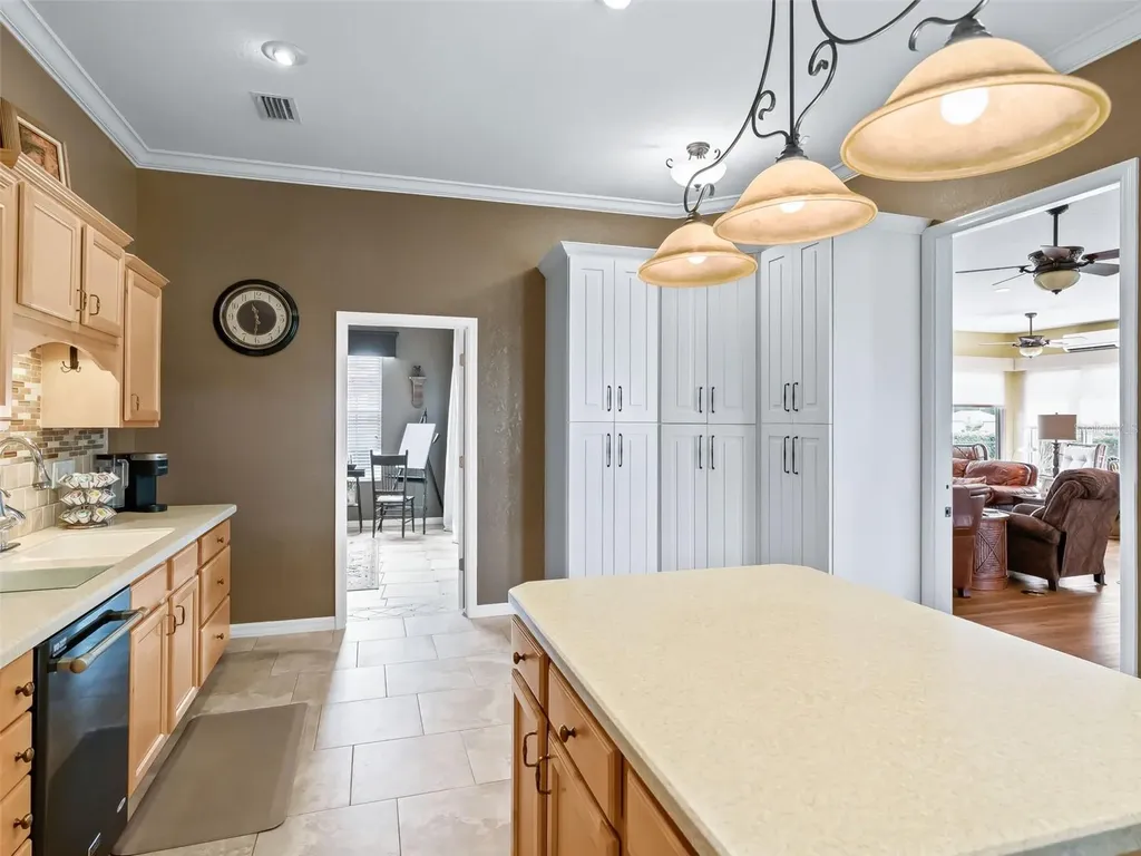 12163 SE 176th Loop Summerfield FL 34491