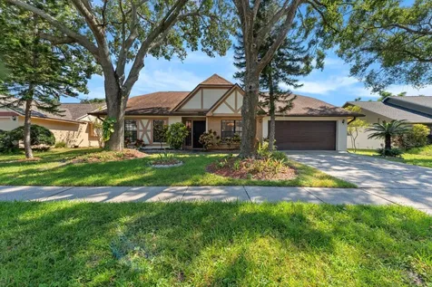 15013 Redcliff Drive Tampa FL 33625