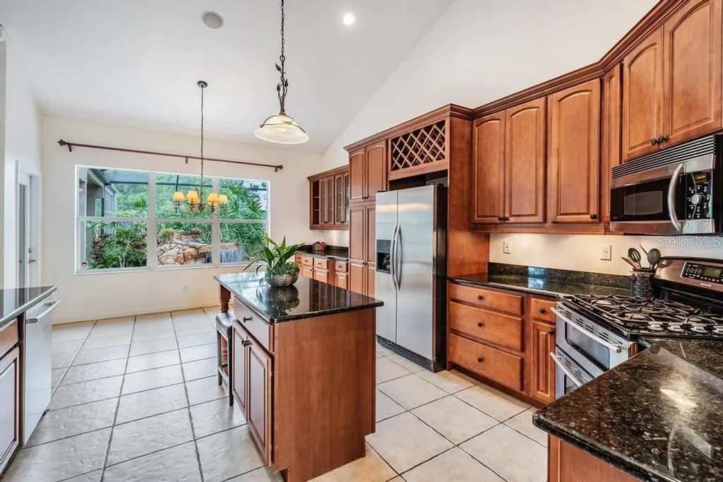 22519 Southshore Drive Land O Lakes FL 34639