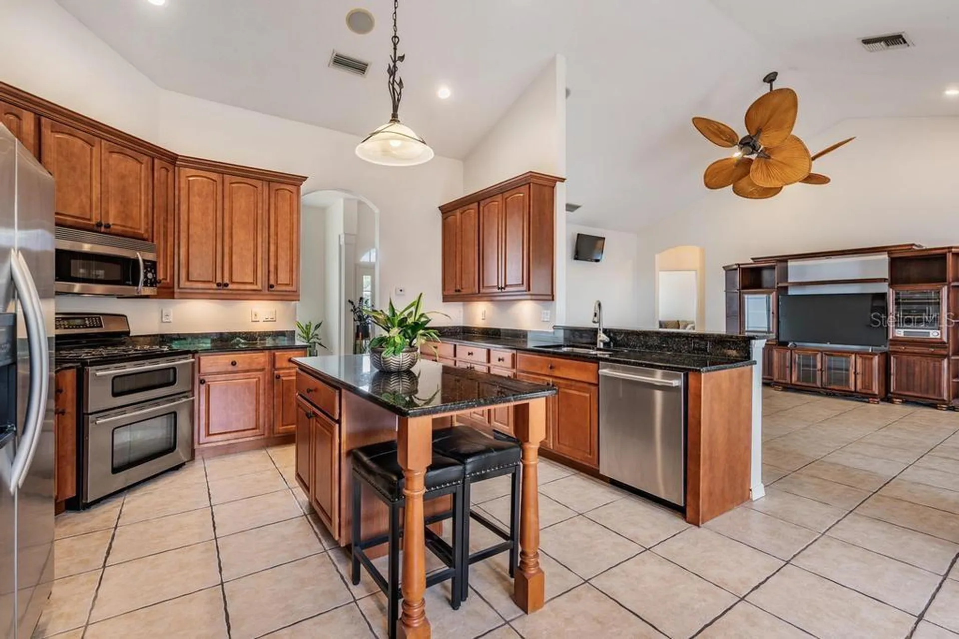 22519 Southshore Drive Land O Lakes FL 34639