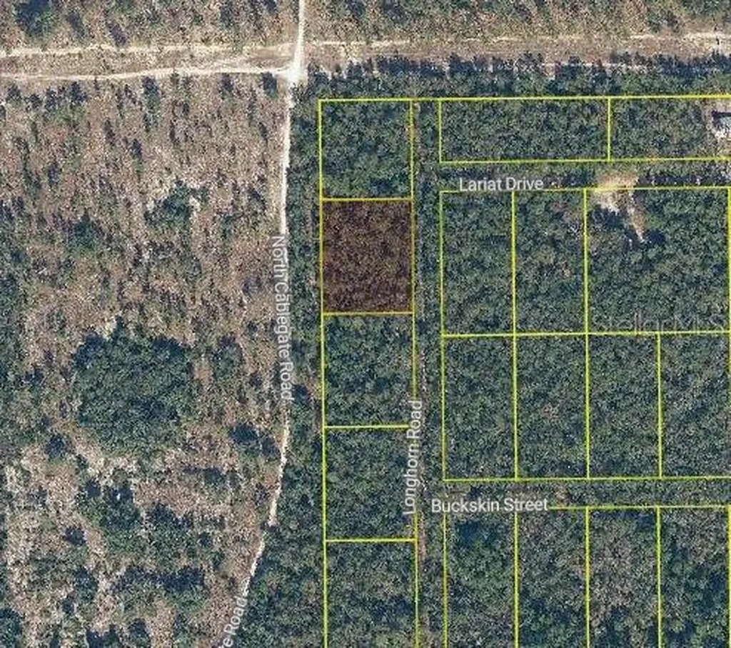 101 & 103 Longhorn Lane Florahome FL 32140