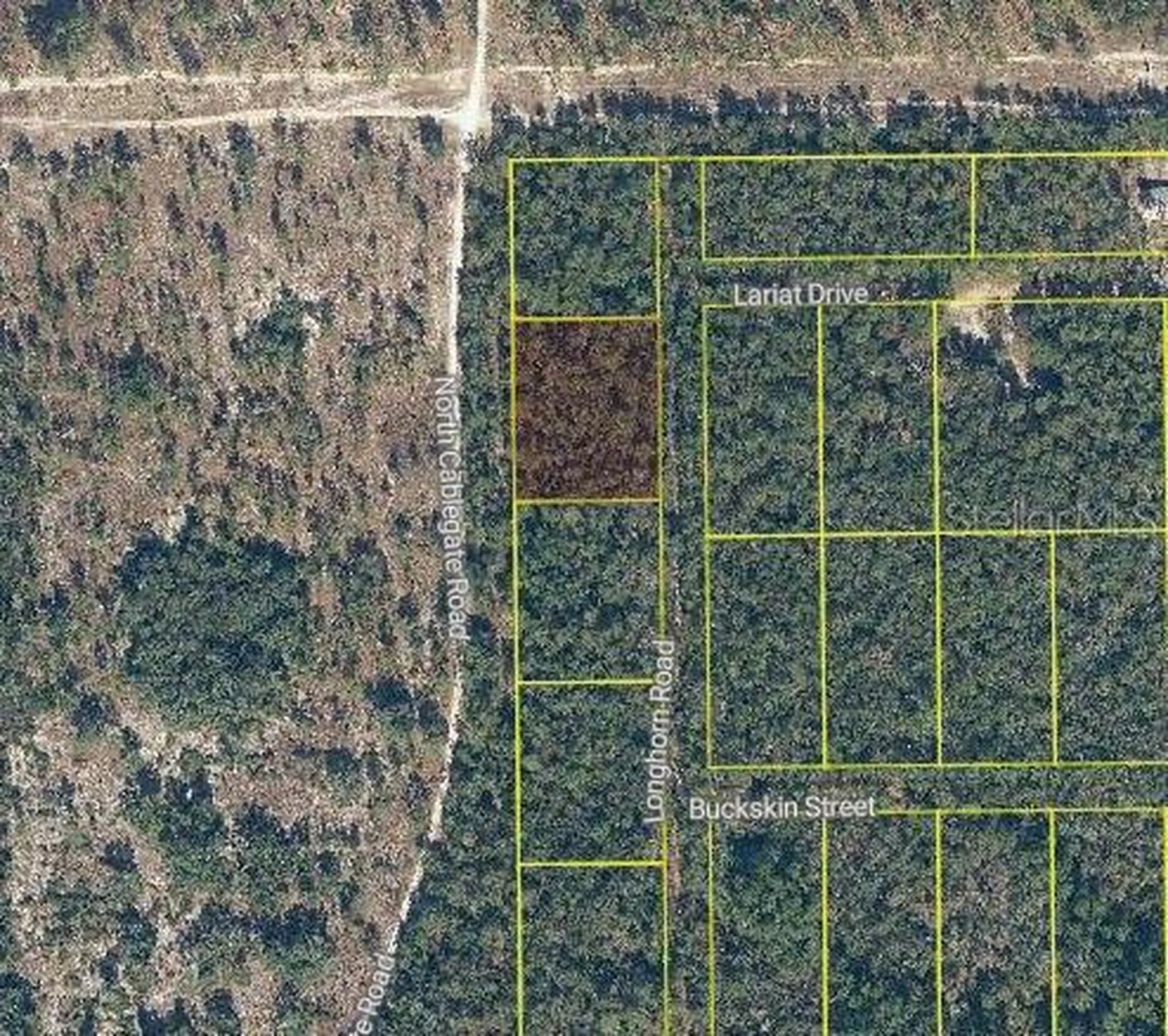 101 & 103 Longhorn Lane Florahome FL 32140