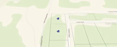 101 & 103 Longhorn Lane Florahome FL 32140