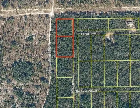 101 & 103 Longhorn Lane Florahome FL 32140