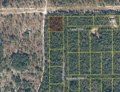 101 & 103 Longhorn Lane Florahome FL 32140