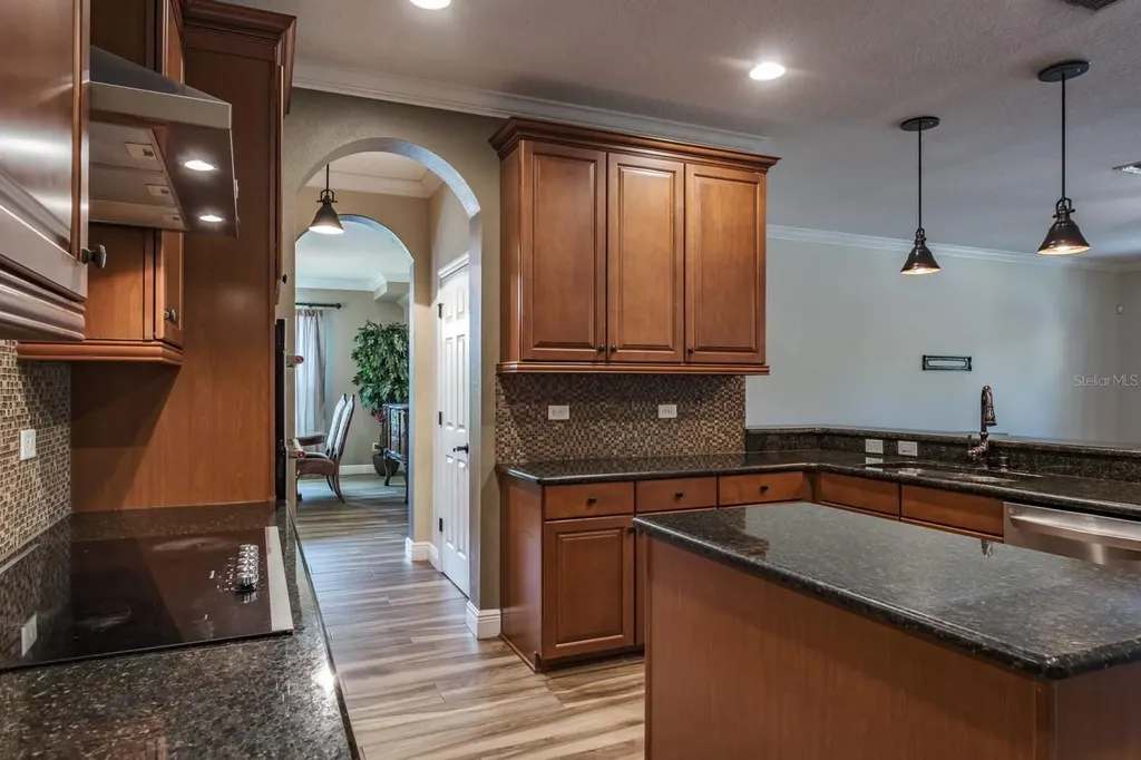 165 Mobbly Bay Drive Oldsmar FL 34677