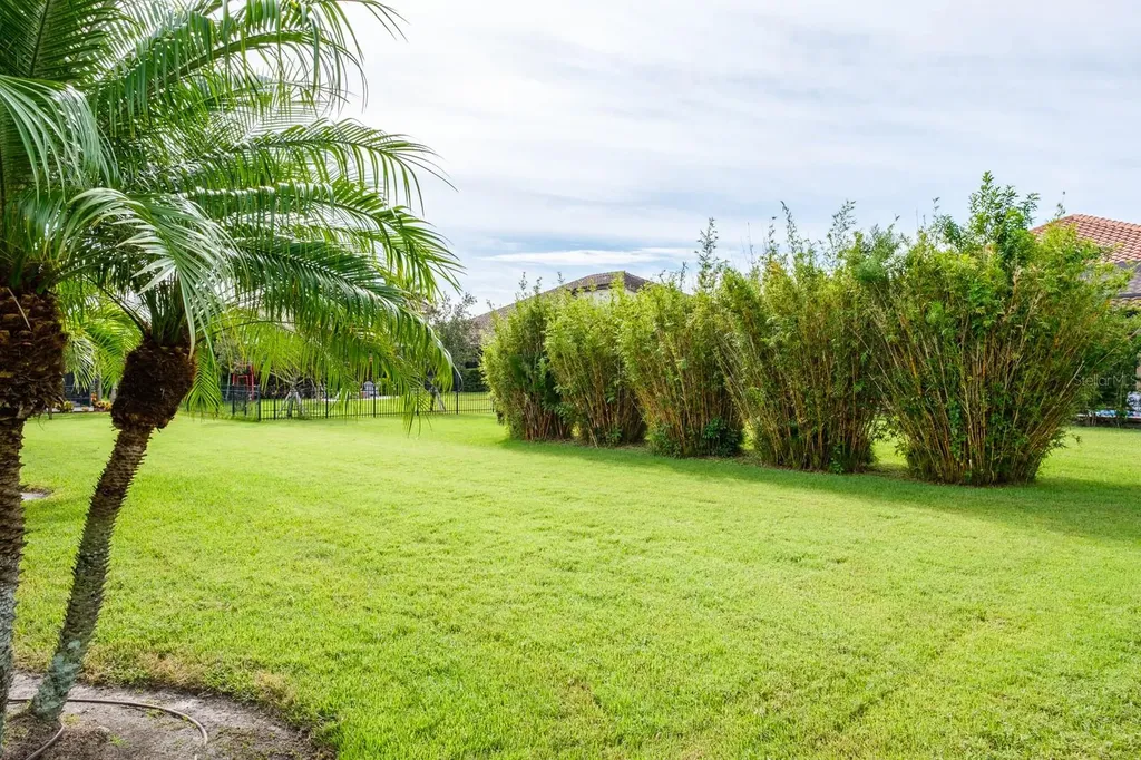 165 Mobbly Bay Drive Oldsmar FL 34677