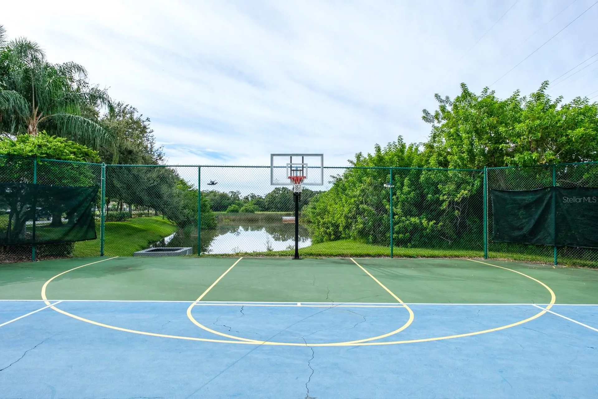 165 Mobbly Bay Drive Oldsmar FL 34677