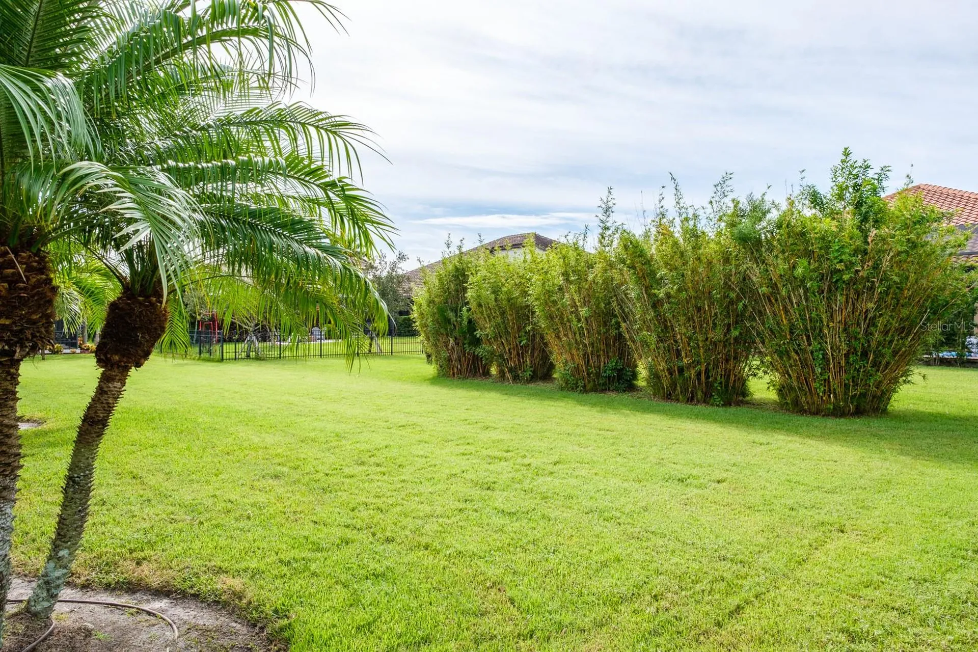 165 Mobbly Bay Drive Oldsmar FL 34677