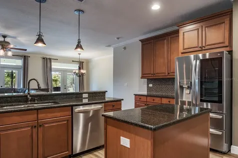 165 Mobbly Bay Drive Oldsmar FL 34677