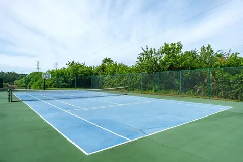 165 Mobbly Bay Drive Oldsmar FL 34677