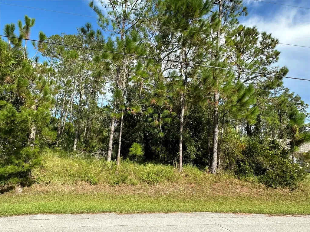 85 Presidential Lane Palm Coast FL 32164