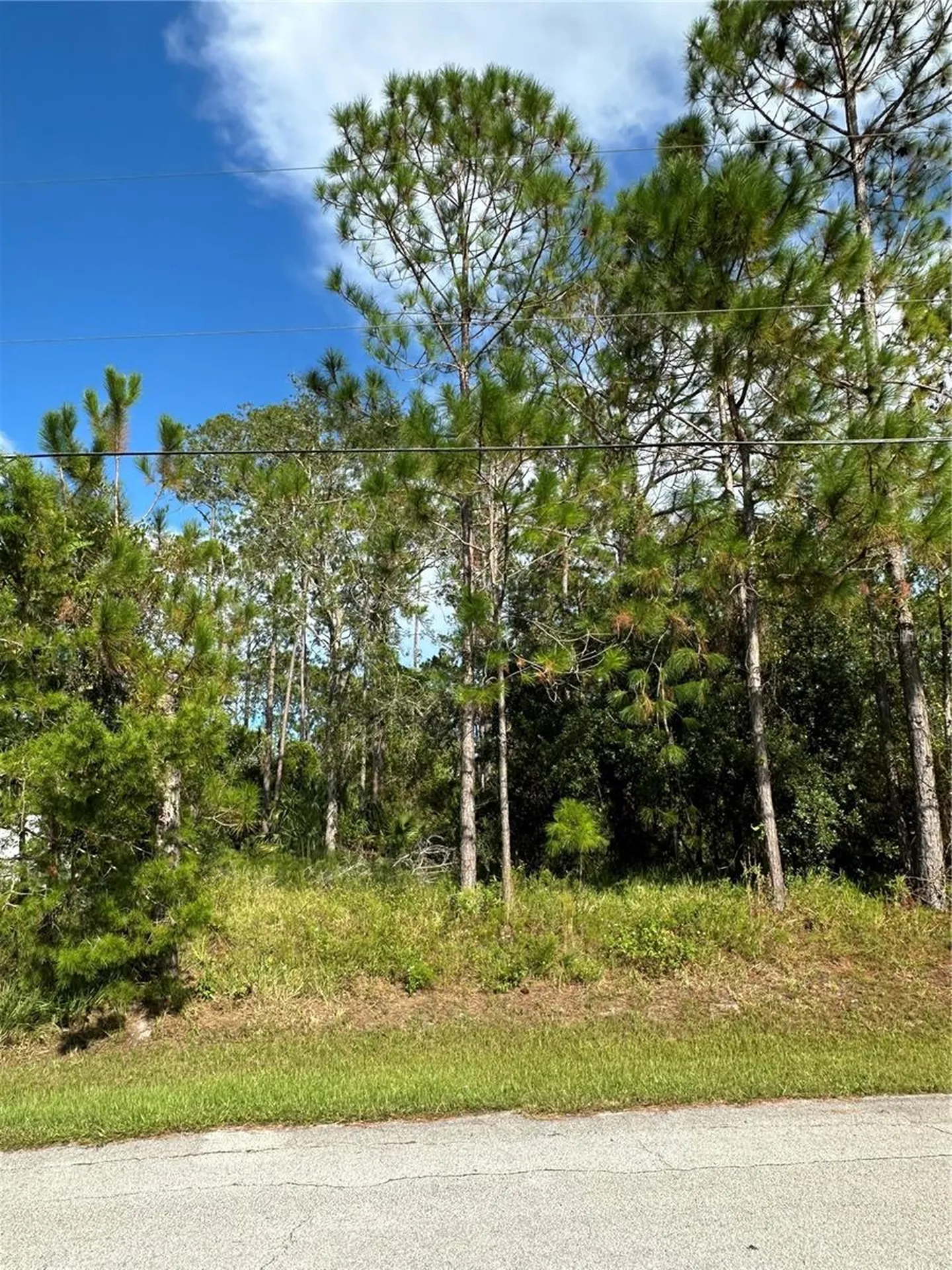 85 Presidential Lane Palm Coast FL 32164