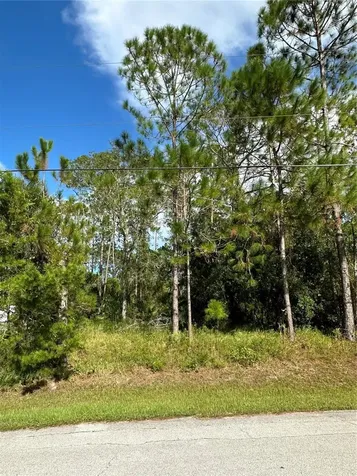85 Presidential Lane Palm Coast FL 32164
