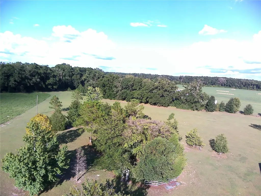 5559 SW 42nd Place Bell FL 32619