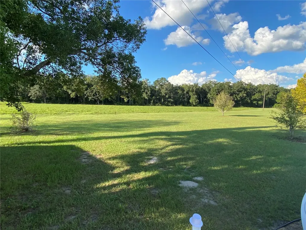 5559 SW 42nd Place Bell FL 32619
