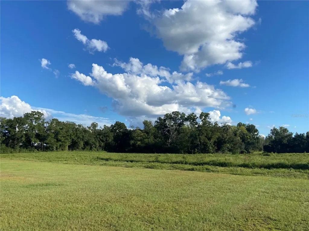 5559 SW 42nd Place Bell FL 32619