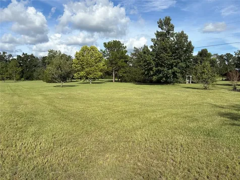 5559 SW 42nd Place Bell FL 32619