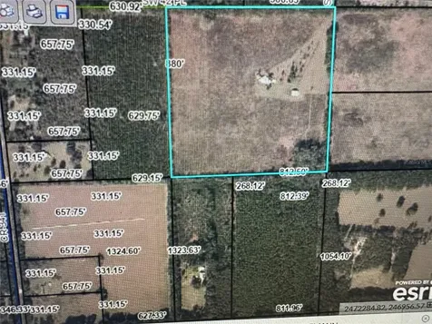 5559 SW 42nd Place Bell FL 32619