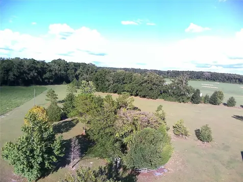 5559 SW 42nd Place Bell FL 32619