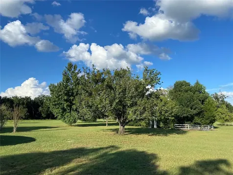 5559 SW 42nd Place Bell FL 32619