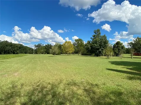 5559 SW 42nd Place Bell FL 32619