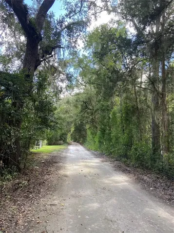 5559 SW 42nd Place Bell FL 32619