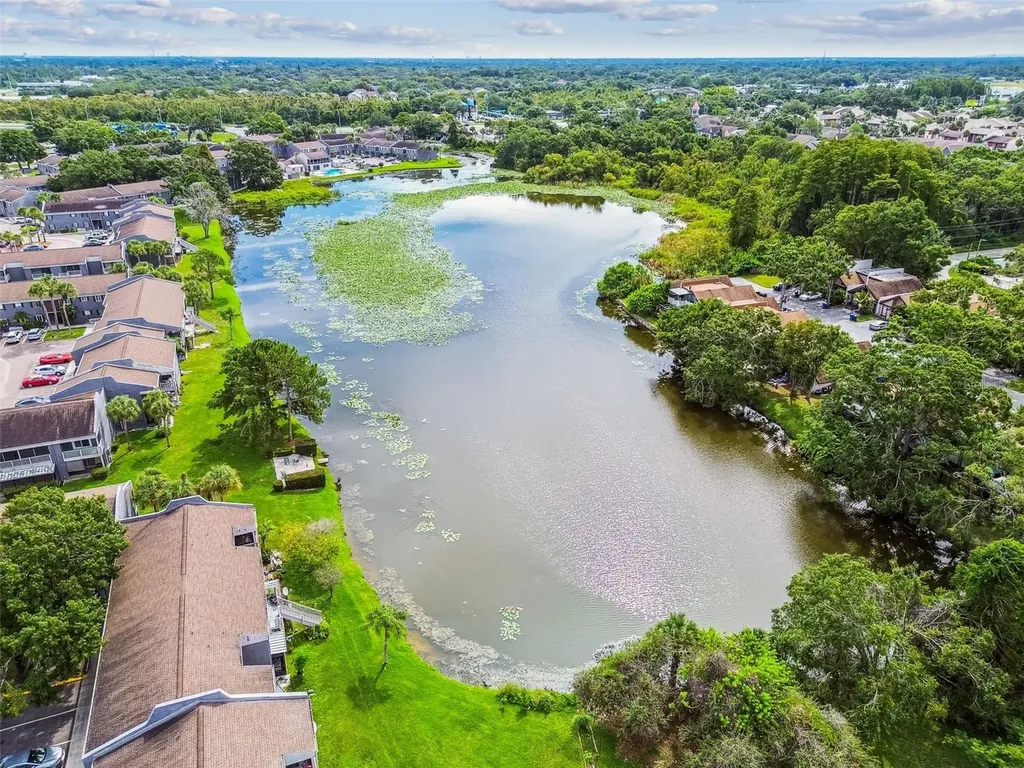 4036 Cortez Drive Tampa FL 33614