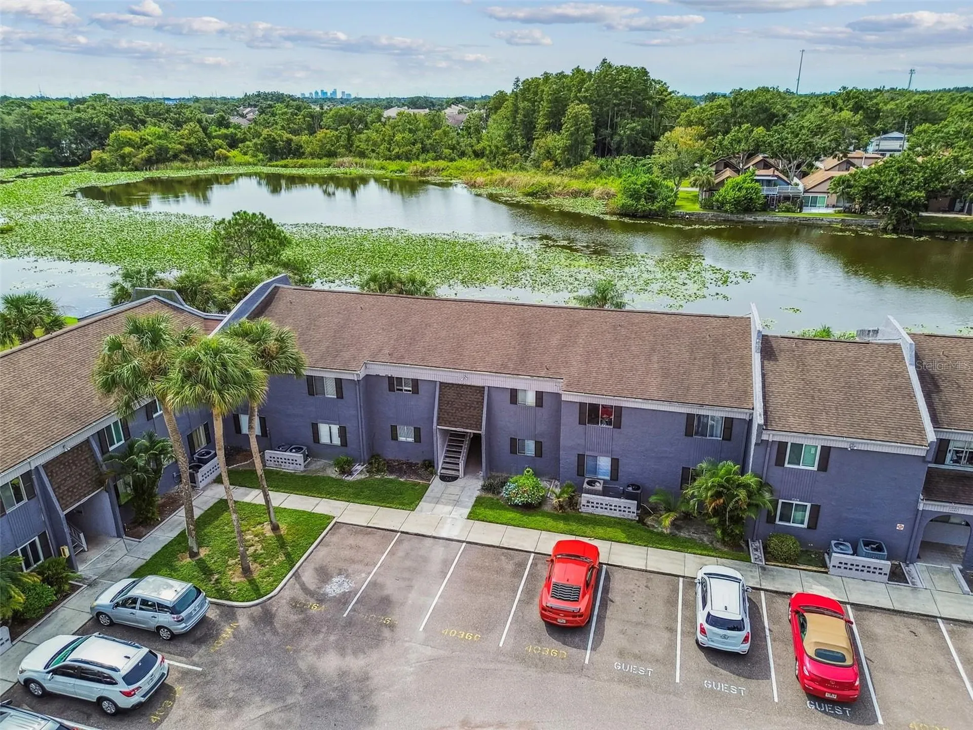 4036 Cortez Drive Tampa FL 33614