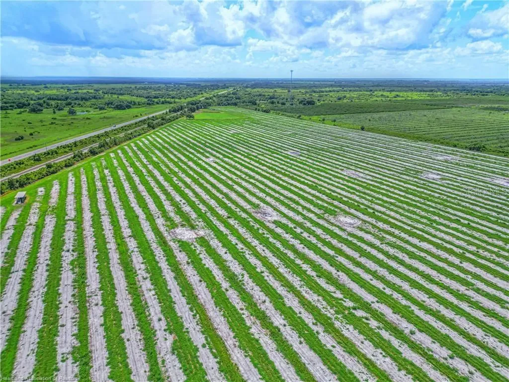 8495 County Road 621 Lorida FL 33857
