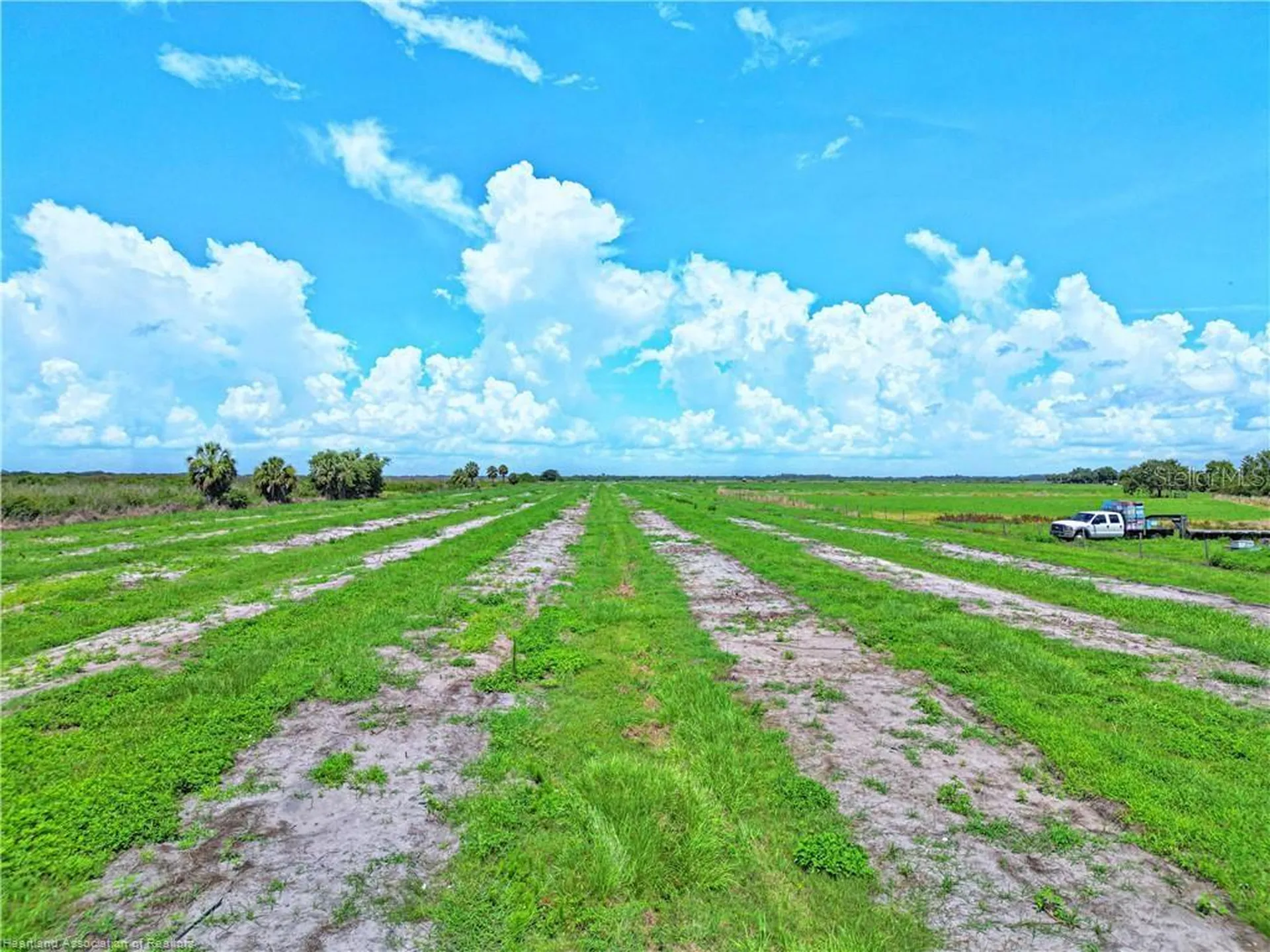 8495 County Road 621 Lorida FL 33857