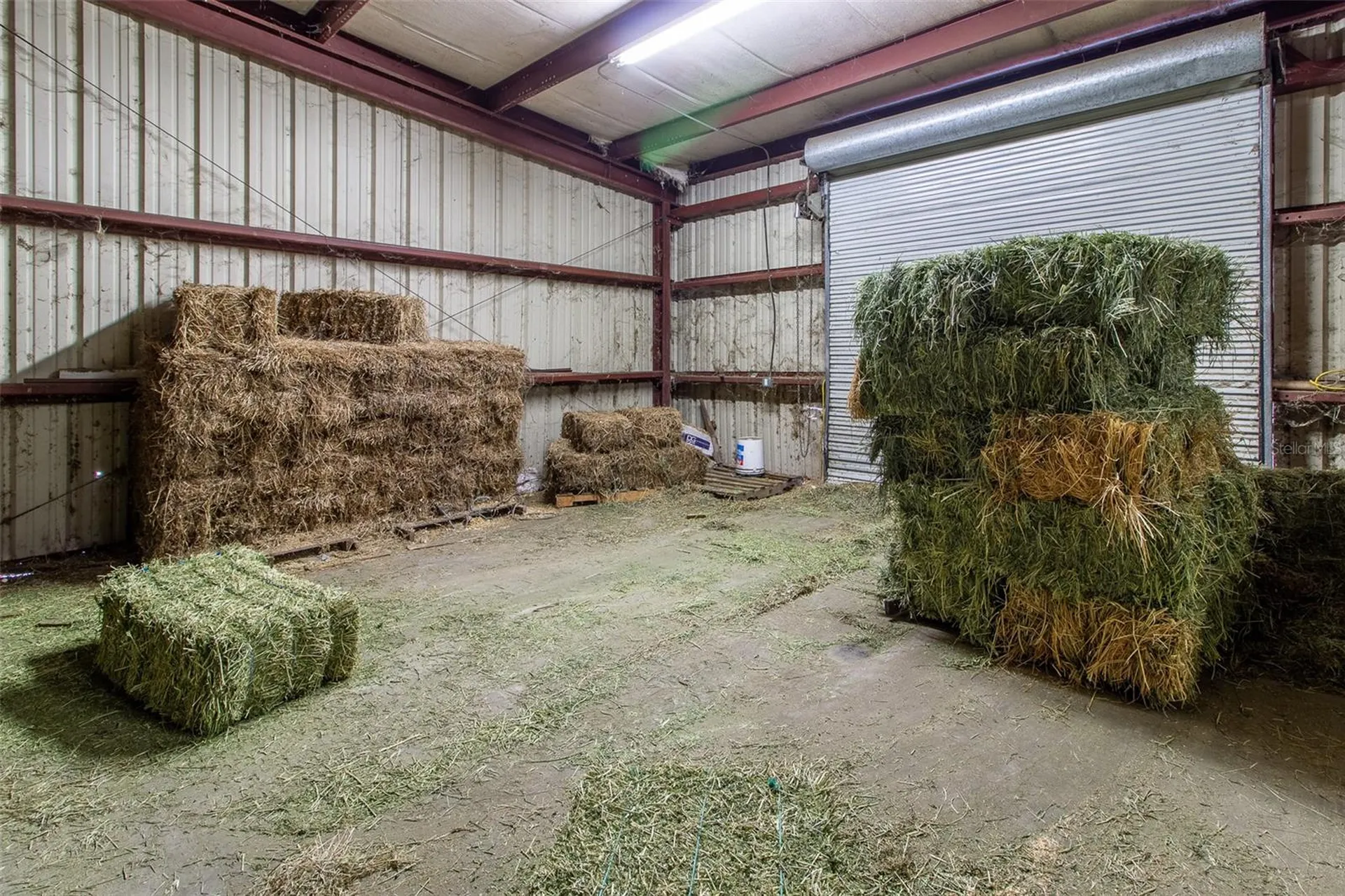 5865 SW 176th Avenue Dunnellon FL 34432