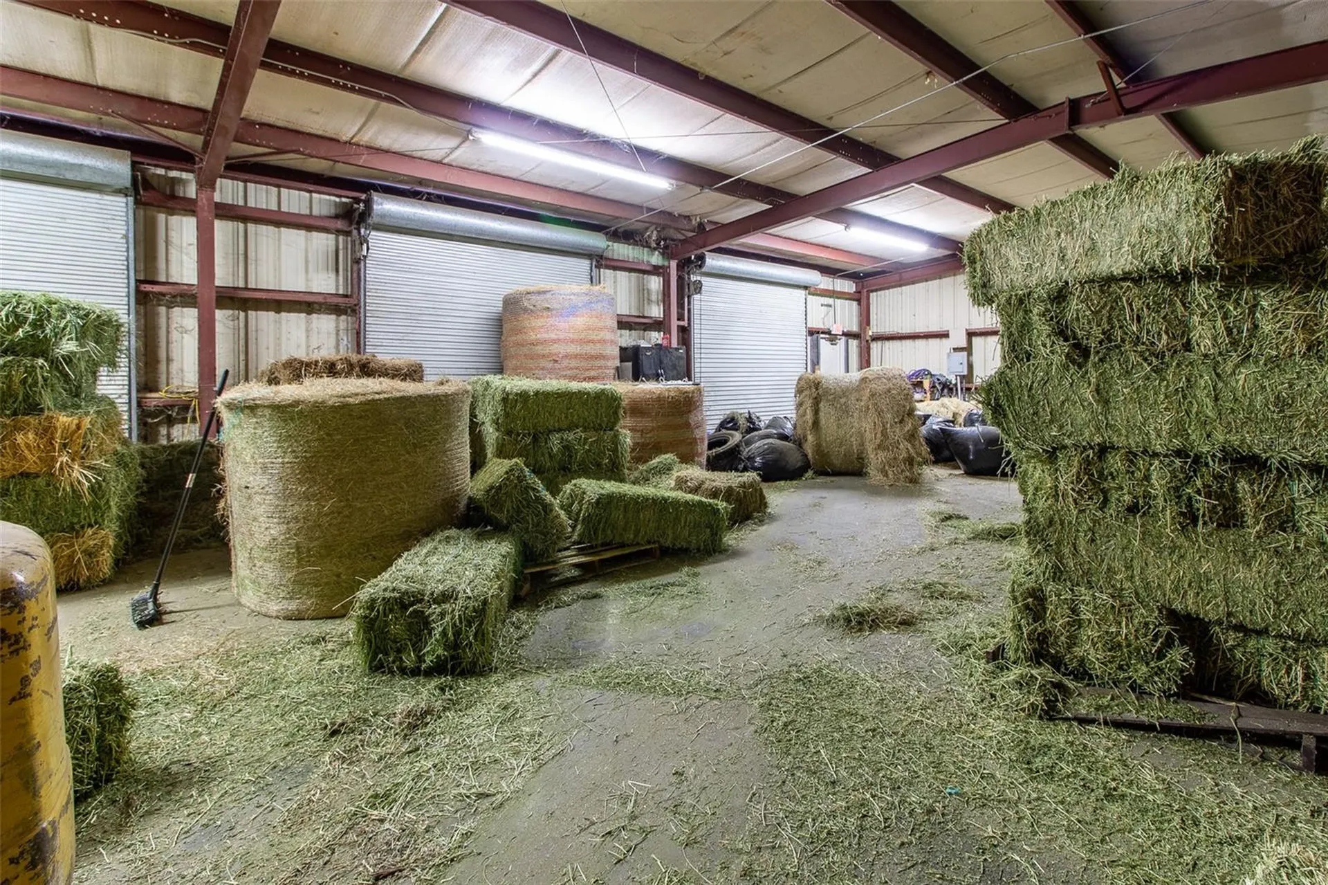 5865 SW 176th Avenue Dunnellon FL 34432