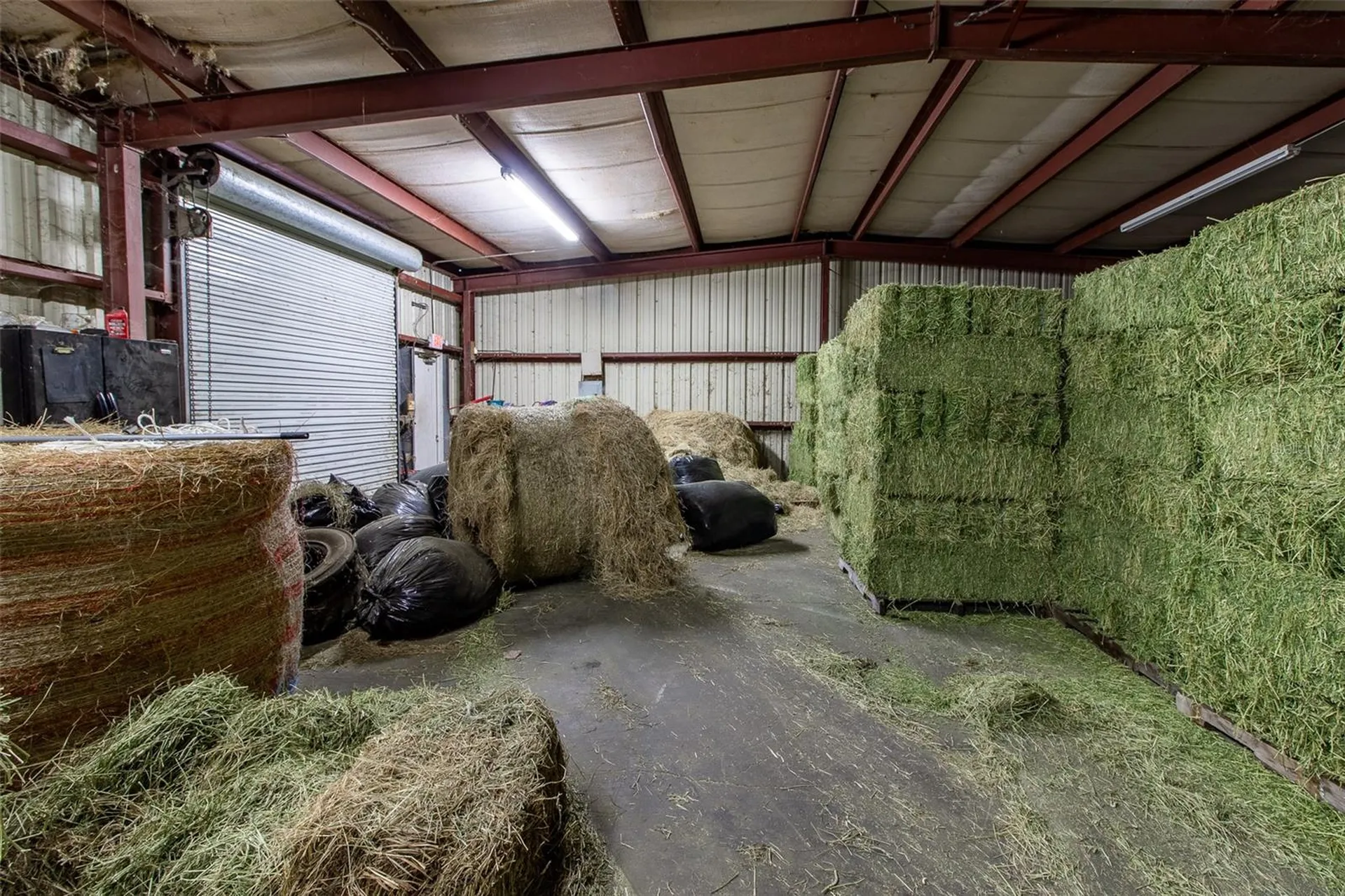 5865 SW 176th Avenue Dunnellon FL 34432