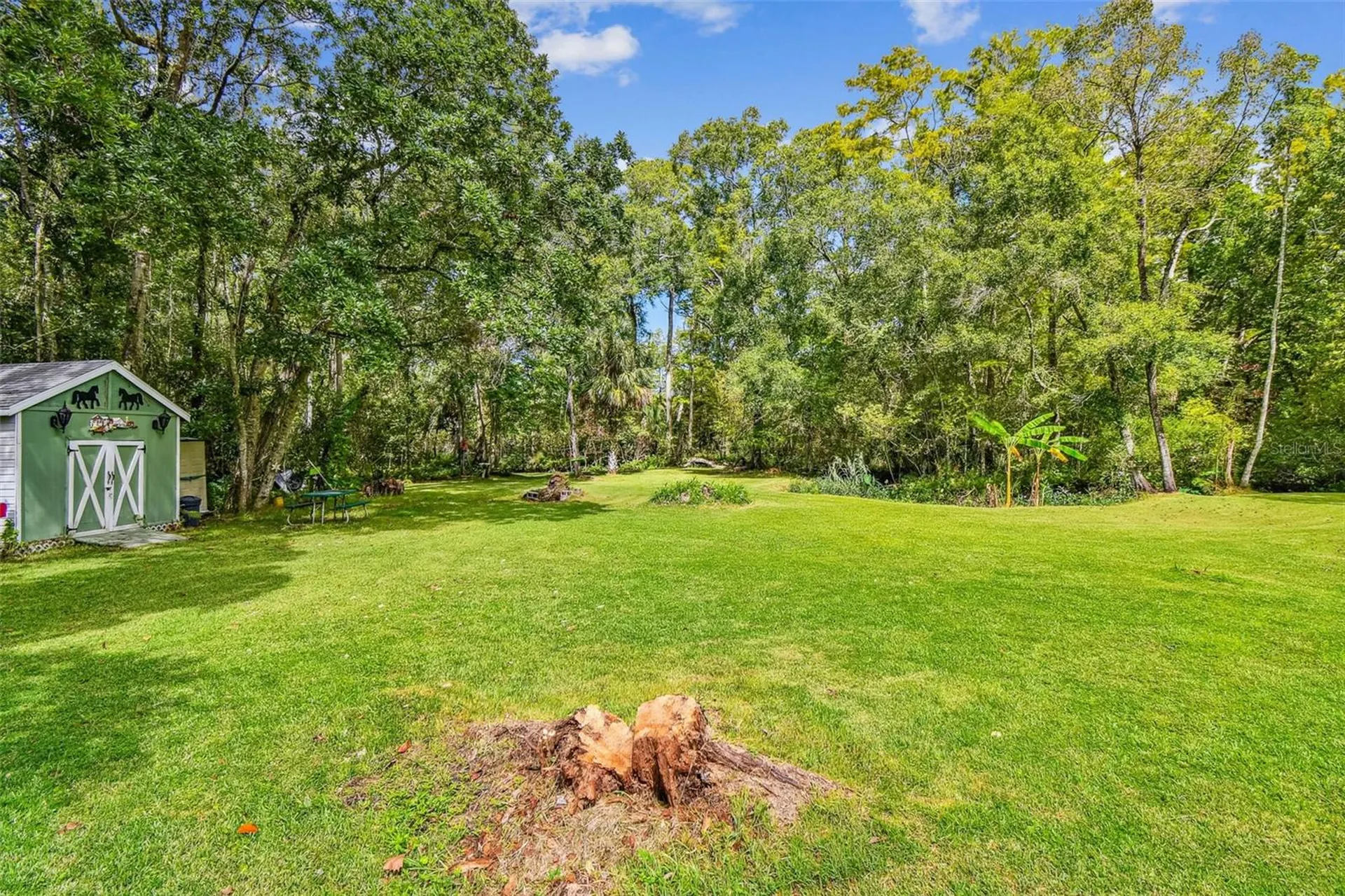 9741 Star Trail New Port Richey FL 34654