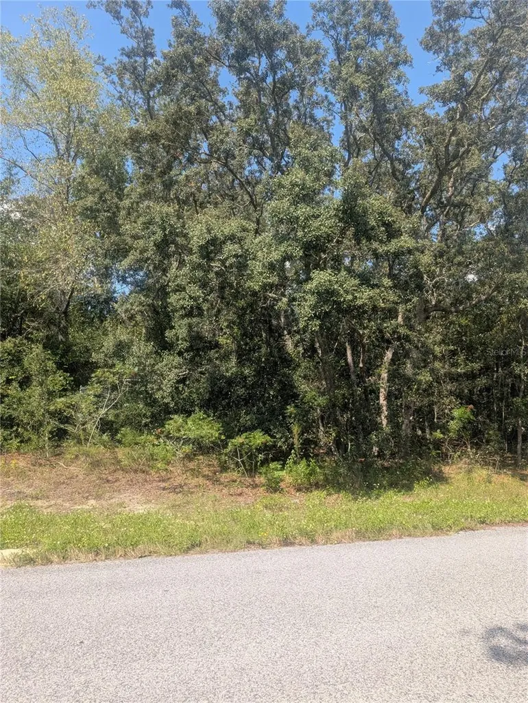 8010 N Primrose Drive Citrus Springs FL 34434
