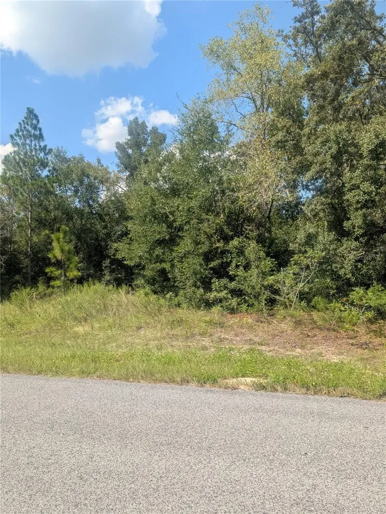 8010 N Primrose Drive Citrus Springs FL 34434