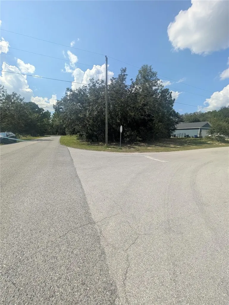 8010 N Primrose Drive Citrus Springs FL 34434
