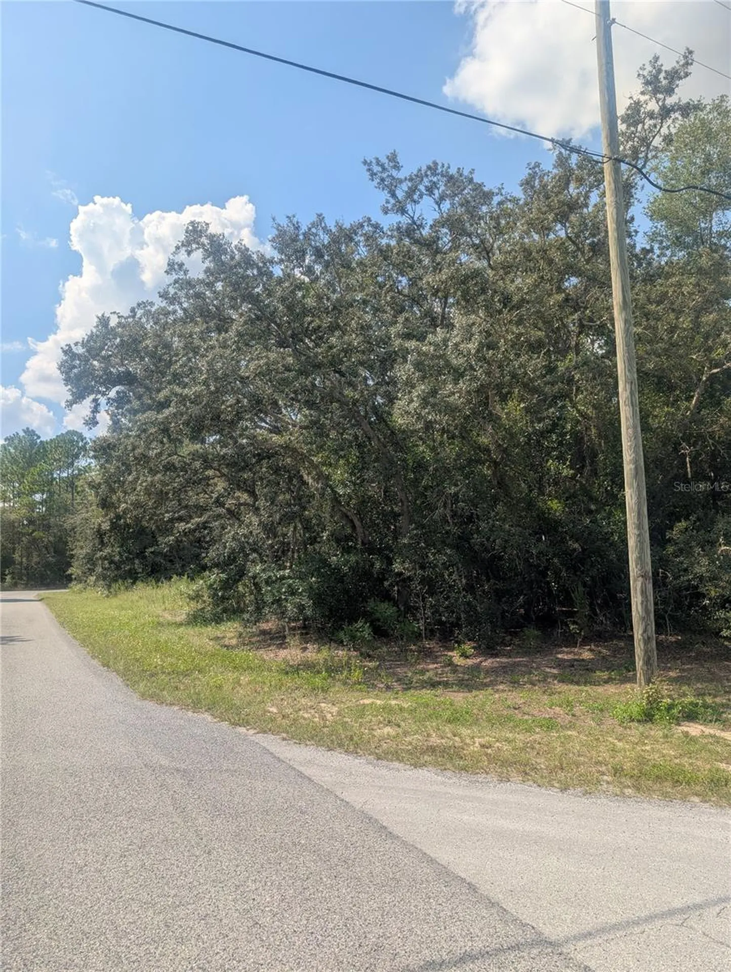 8010 N Primrose Drive Citrus Springs FL 34434