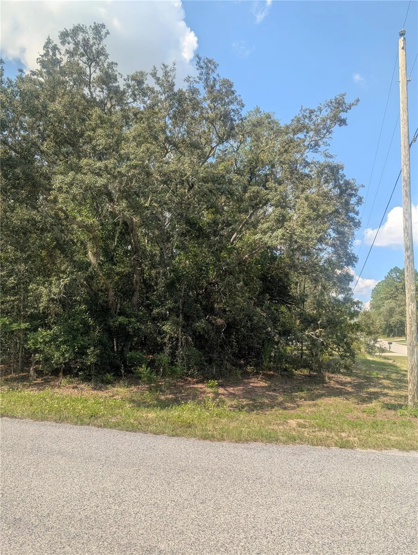 8010 N Primrose Drive Citrus Springs FL 34434