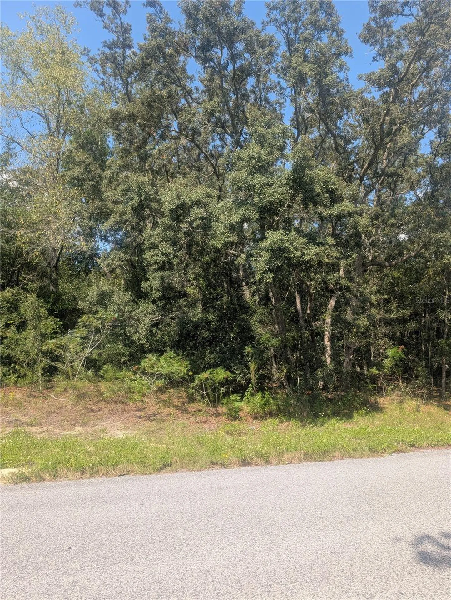 8010 N Primrose Drive Citrus Springs FL 34434