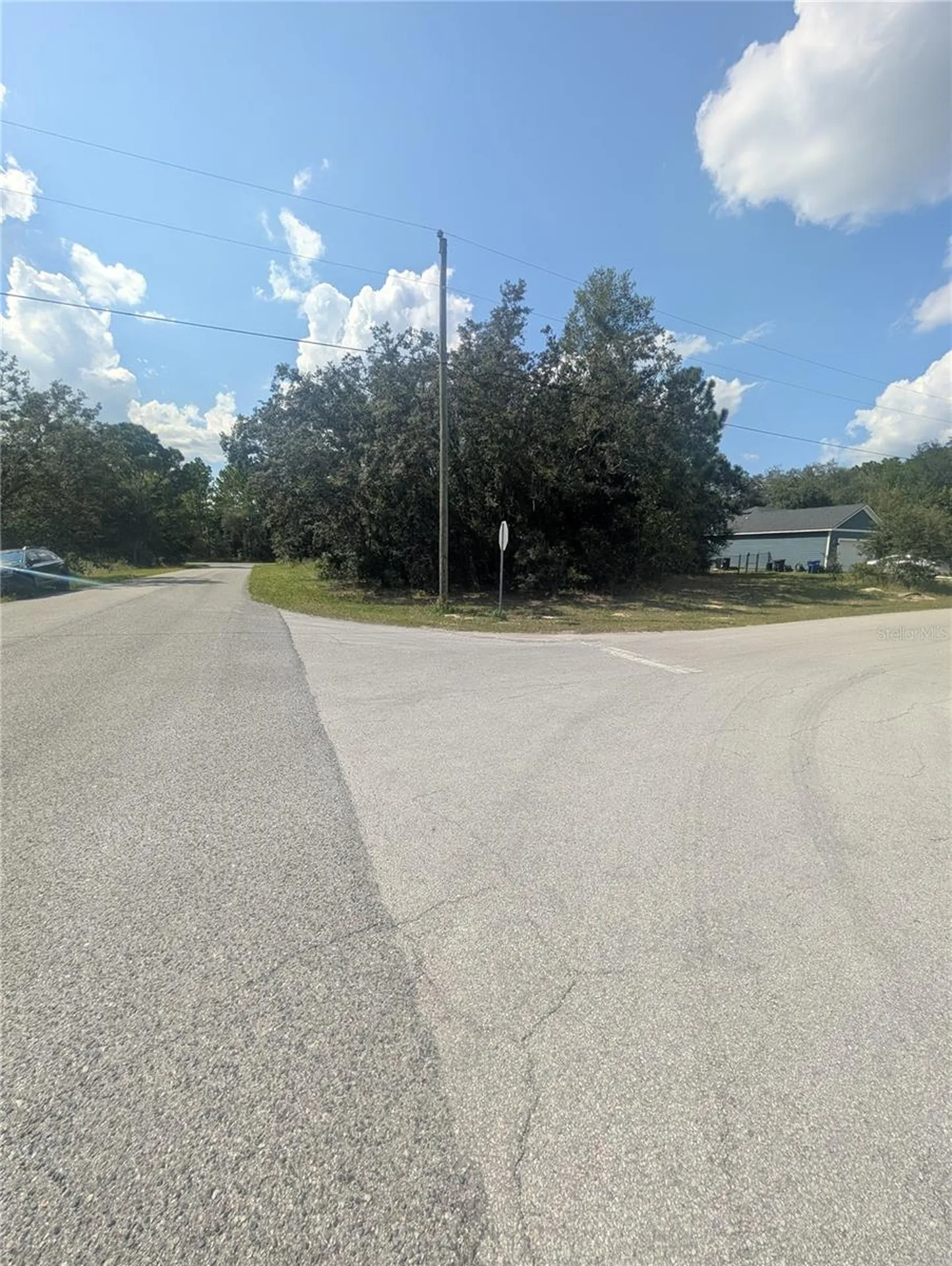 8010 N Primrose Drive Citrus Springs FL 34434