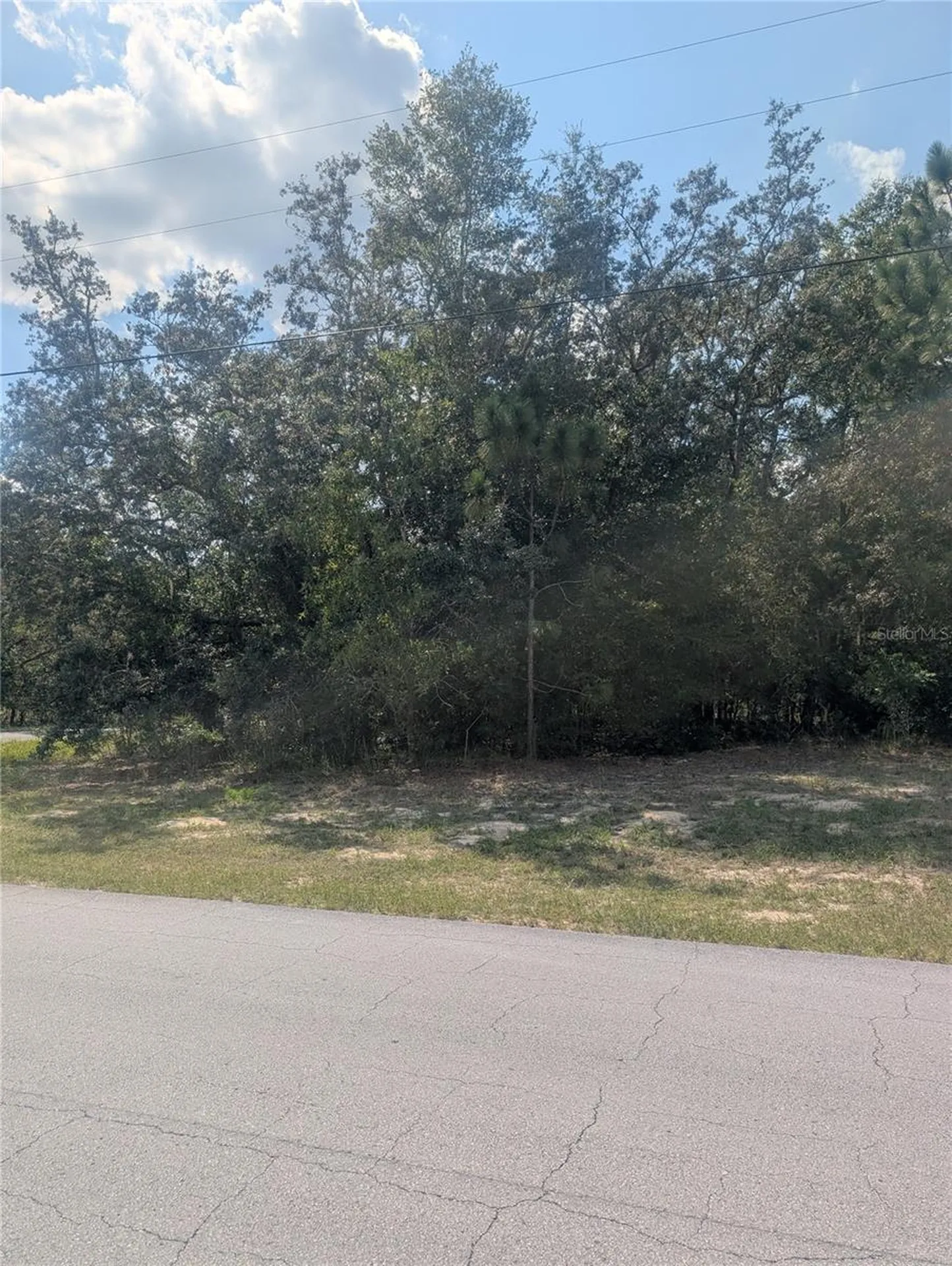 8010 N Primrose Drive Citrus Springs FL 34434